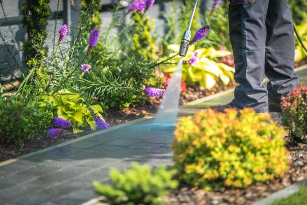 Best Dumpster Area Cleaning  in Blasdell, NY